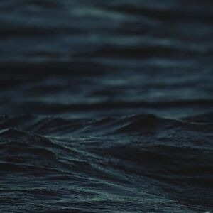 Meet your Posher, D'ann